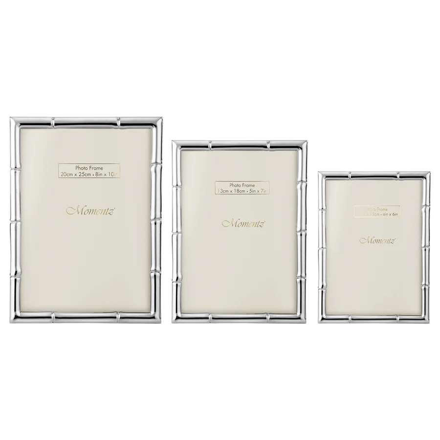 Bamboo Design Photo frame - Silver