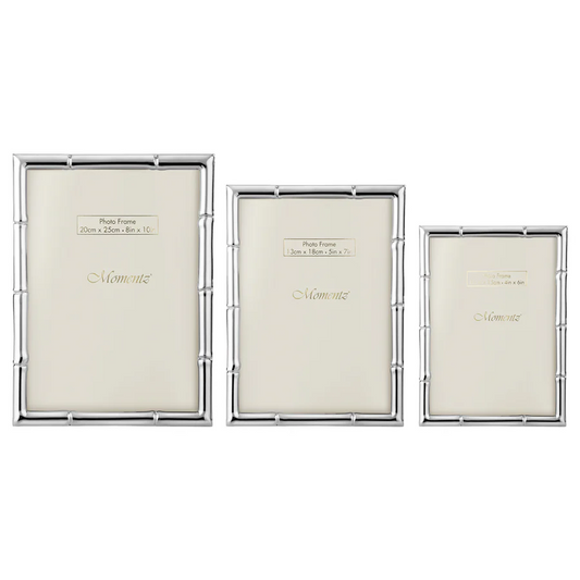 Bamboo Design Photo frame - Silver