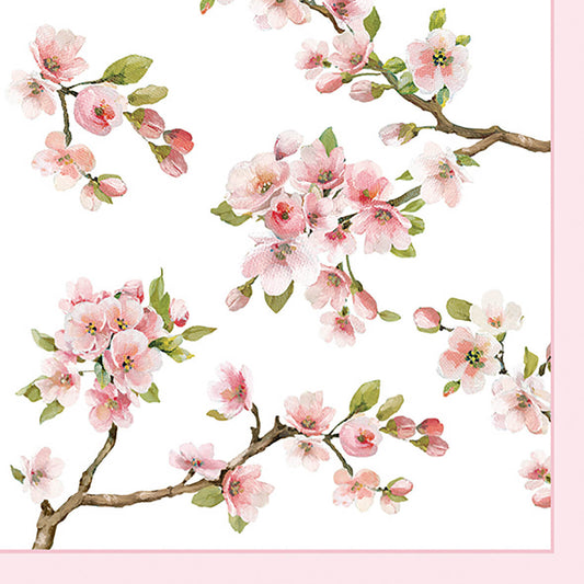 Pack of 20 Fashion paper 33×33 Sakura
