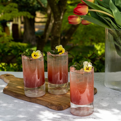 Club Ice Set of 4 High Ball Glasses with Frosted Ripple Effect