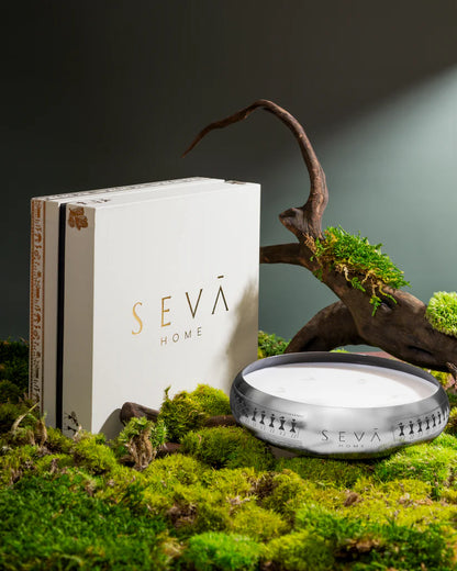 Medley Candle - Dil Se (Coconut Dream - Black, Gold, Silver, Rose Gold)