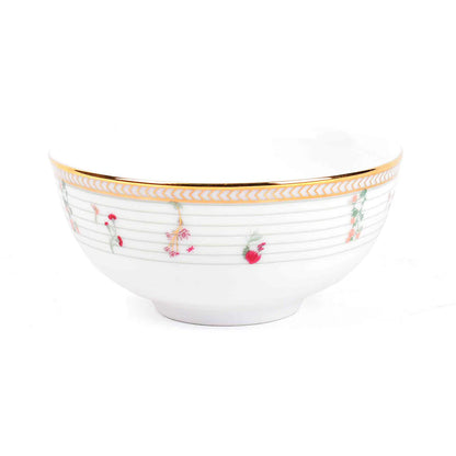 21 pc Dinner set | Mughal Garden