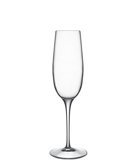 Palace Flute Champagne Glasses
