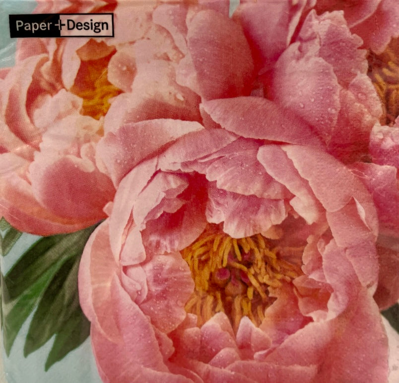 Pink Peony 3-Ply