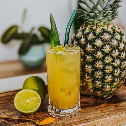 Wayne Set of 4 High Ball Glasses