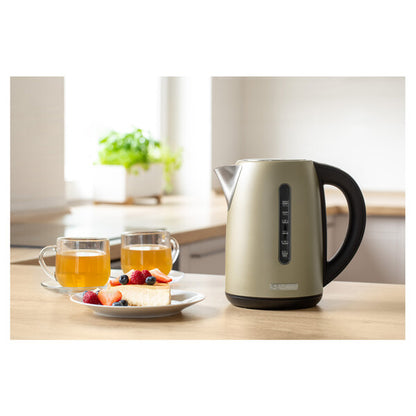 Variable Temperature Electric Kettle